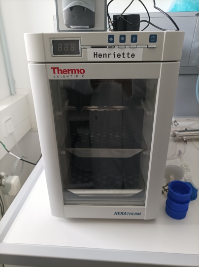 Plate incubator